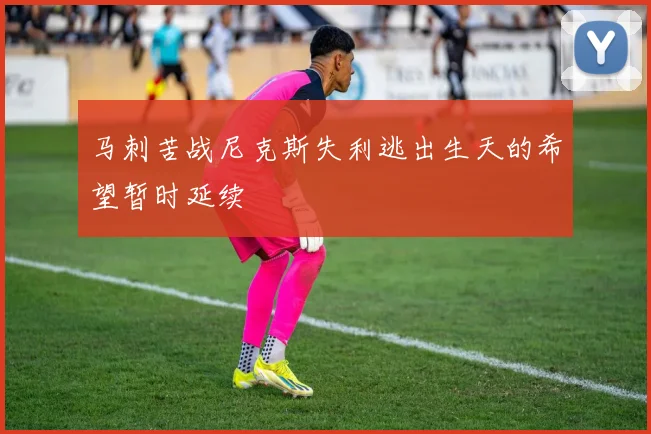 马刺苦战尼克斯失利逃出生天的希望暂时延续