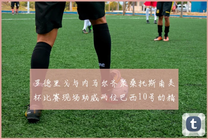 罗德里戈与内马尔齐聚桑托斯南美杯比赛现场助威两位巴西10号的精彩时刻